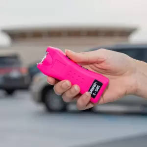 2 in 1 Stungun and Flash Light
